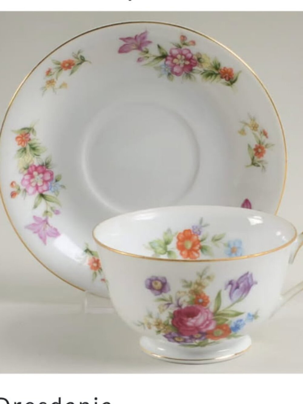 Dresdania by Harmony House China cup and saucer with gold trim